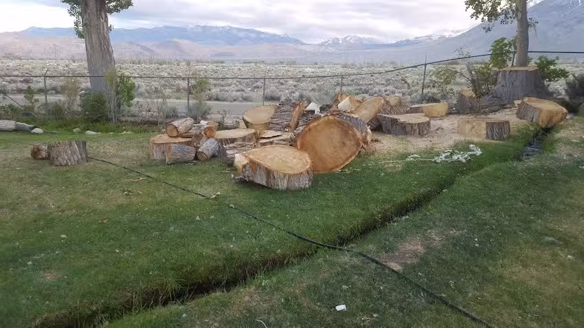 Room with a View Vacation Rentals