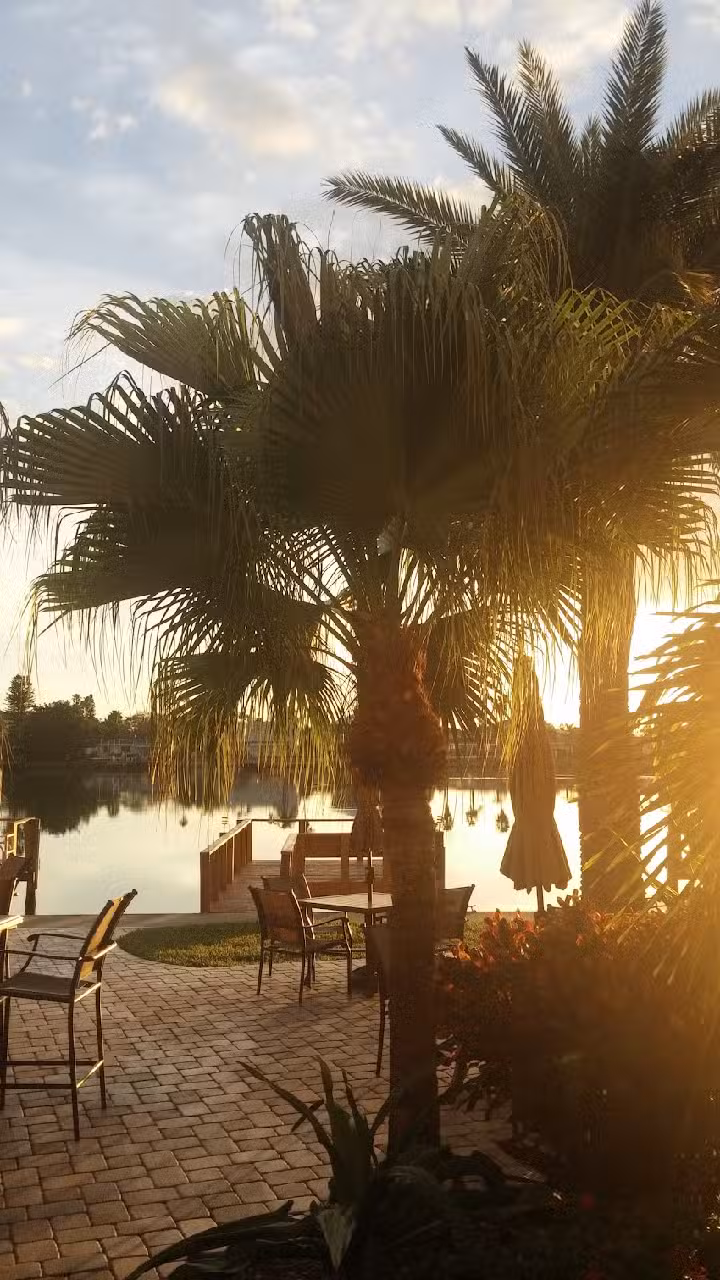 Rosalind&rsquo;s Travel In Style, LLC &ndash; Travel Agency