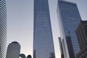 Ross is Boss Travels & Transport, LLC