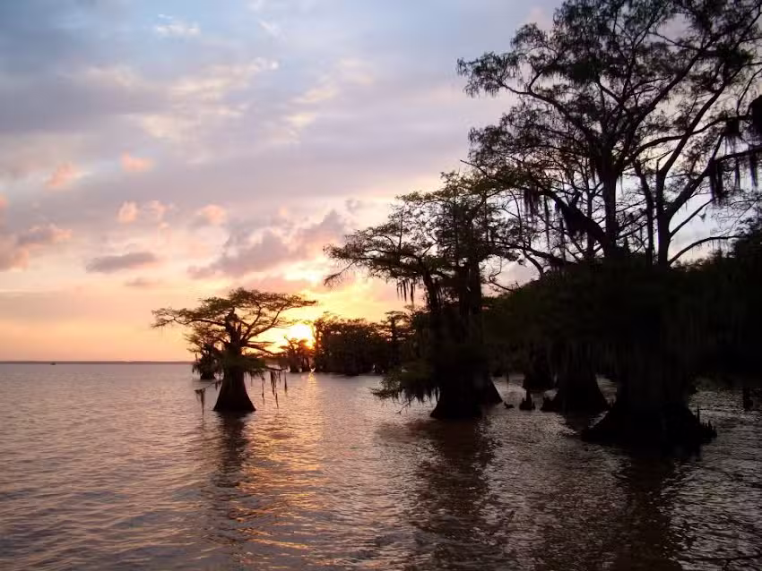 Rougarou Bayou Tours, LLC