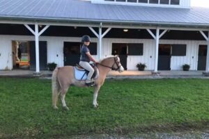 Royal Oaks Equestrian, LLC.