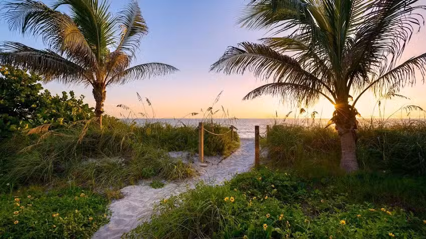 Royal Shell Vacations