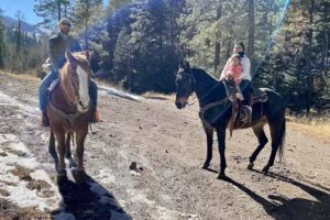 Runnels Bonito Stables