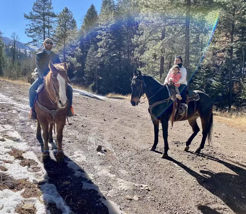 Runnels Bonito Stables