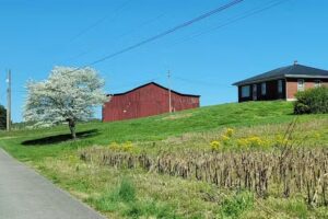 Sackett’s Lake Bluff Cabins