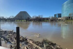 Sacramento Travel Agency