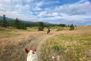 Sacred Trails Guides and Outfitters