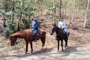 Saddle Up Trail Rides Inc.