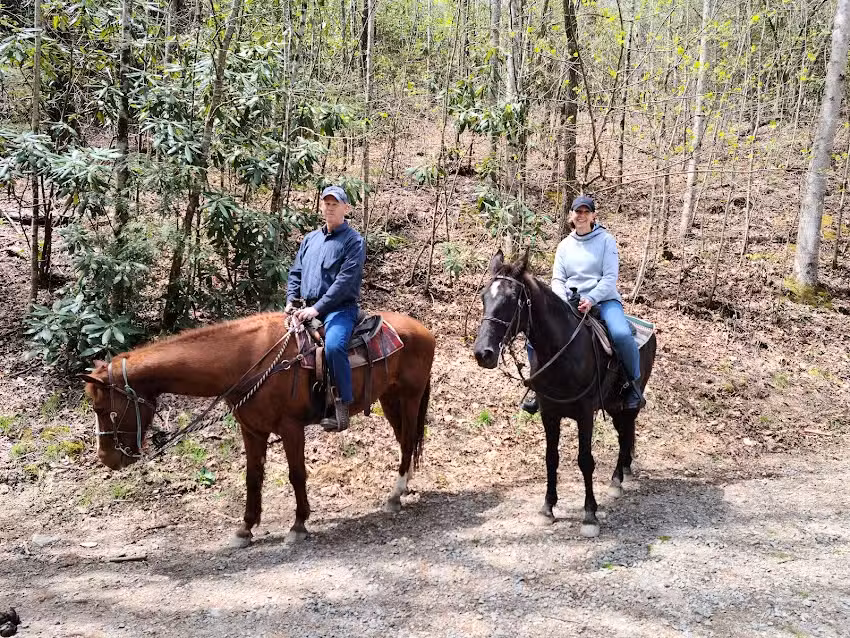 Saddle Up Trail Rides Inc.
