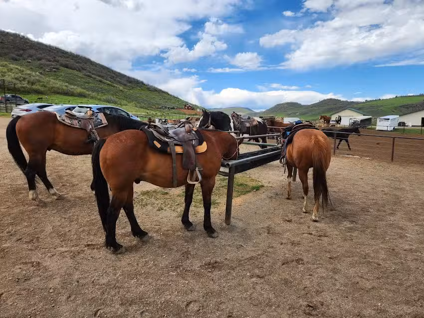 Saddleback Ranch &ndash; Horseback rides & Snowmobile Tours