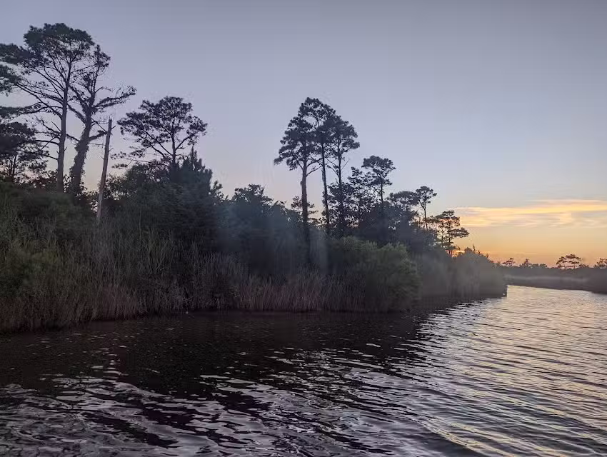 Safari Dolphin Tours