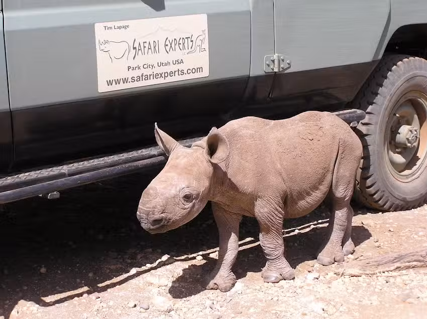 Safari Experts Tim Lapage