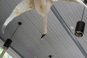 Saginaw Bay Visitor Center