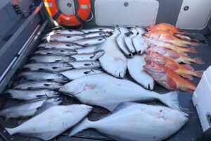 Saltwater Excursions, LLC