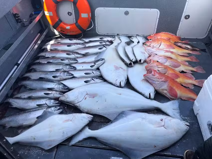 Saltwater Excursions, LLC