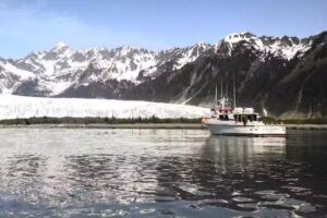 Saltwater Safari Tours