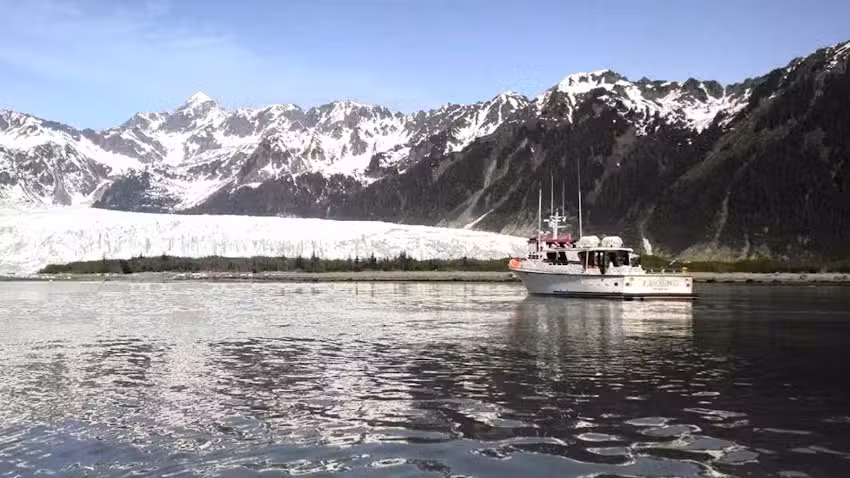 Saltwater Safari Tours