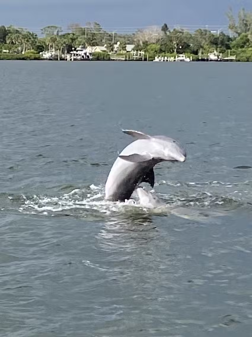 Salty Adventure Boat Tours