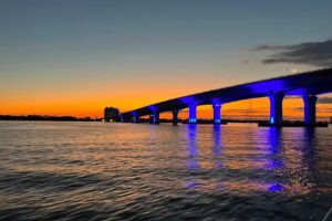 Salty Dogs Dolphin & Adventure Tours