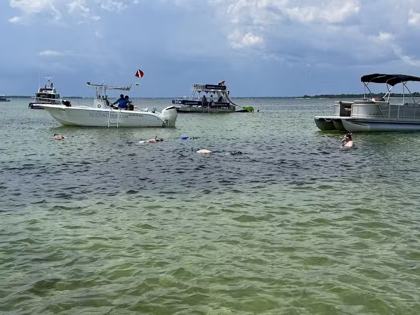 Salty Fins Dolphin and Snorkeling Tours