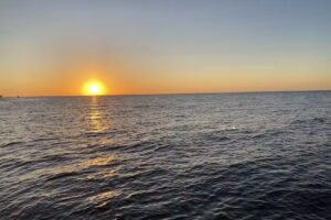 Salty Pelican Boat Tours