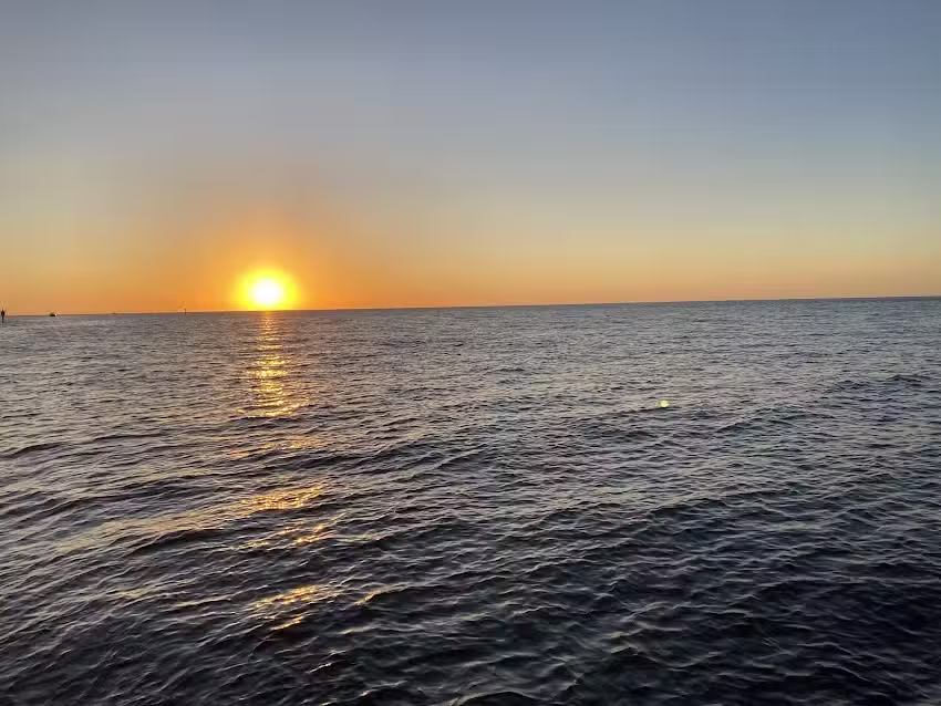 Salty Pelican Boat Tours