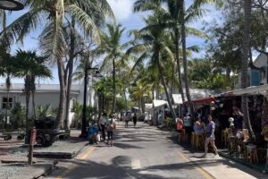 Salty Seaweed Tours & Rentals