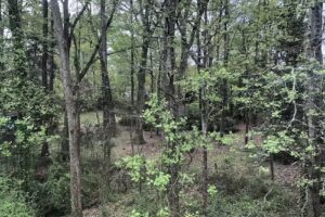 Saluda Visitors Center