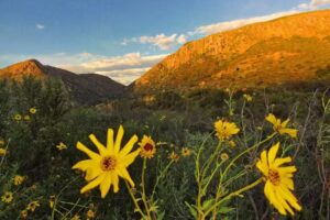 San Diego Private tours –Journeys with Julie