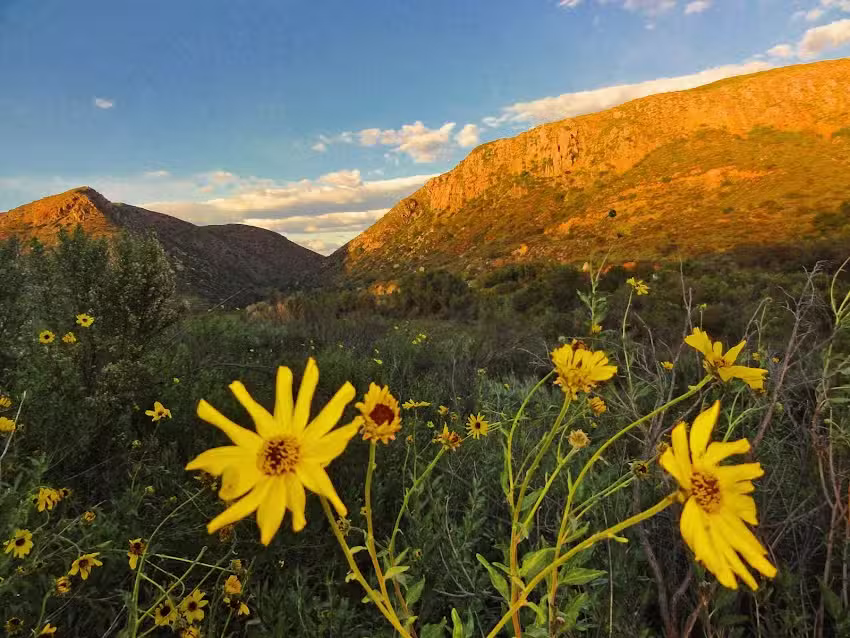 San Diego Private tours –Journeys with Julie