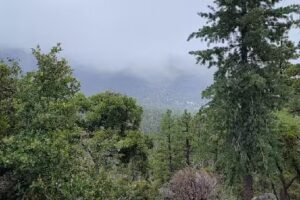 San Jacinto Ranger Station