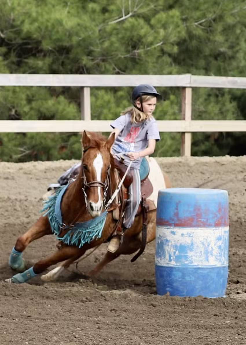San Pasqual Valley Ranch & Devenport Training