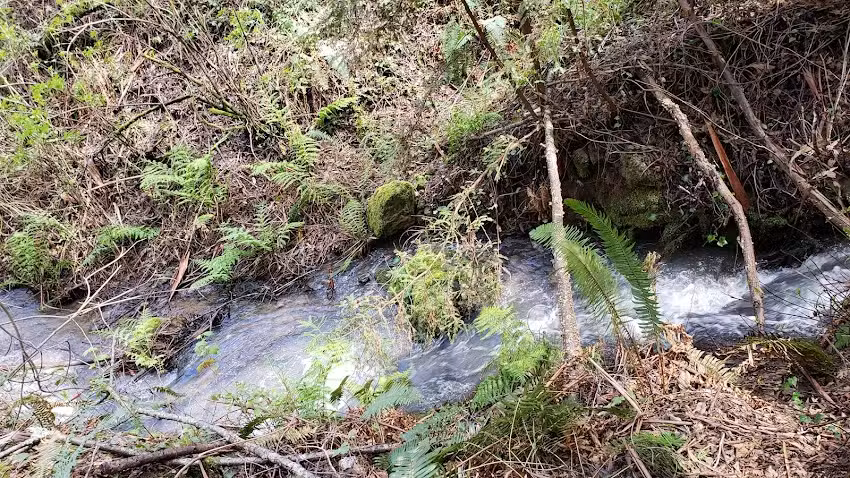 San Pedro Valley Park Visitor Center