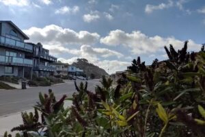 Sand Dollar Beach House At La Selva Beach