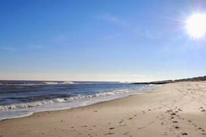 Sand Dollar Real Estate