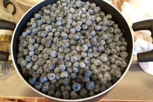 Sandpoint Vacation Condo