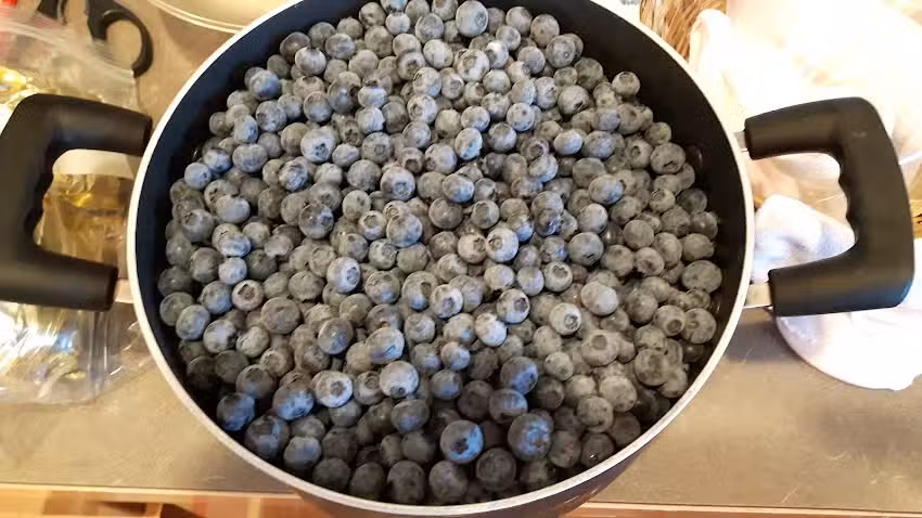 Sandpoint Vacation Condo