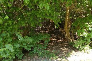 Sands Point Preserve Ticket Office