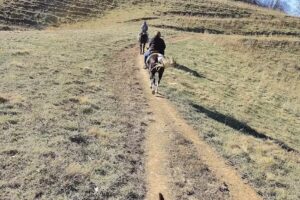 Sandy Bottom Trail Rides