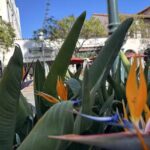 Santa Barbara Travel