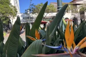 Santa Barbara Travel