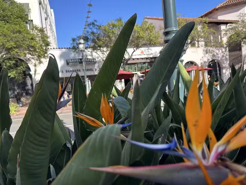 Santa Barbara Travel