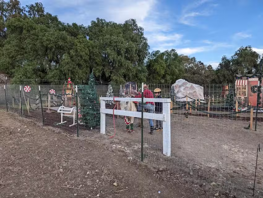 Santa Ynez Valley Horseback Rides