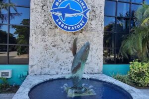Sarasota Bay Explorers