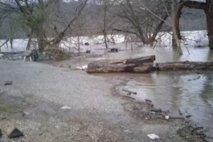 Satisfaction Cruises Inc