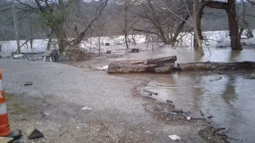 Satisfaction Cruises Inc