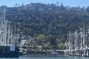 Sausalito Boat Rentals