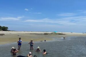 Savannah Luxury Cruises LLC