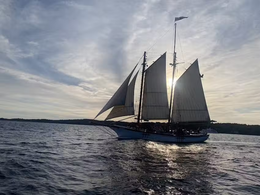 Schooner Surprise