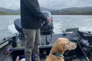 Scream N Reelz Guide Service LLC